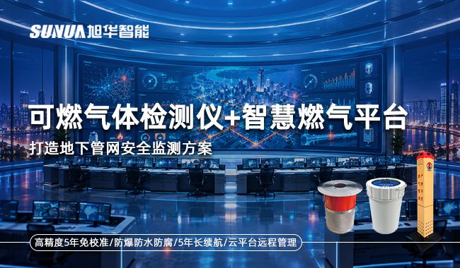可燃气体监测仪